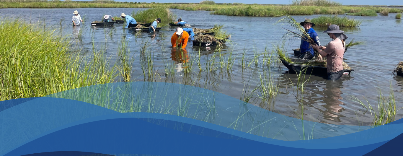 The Coalition To Restore Coastal Louisiana
